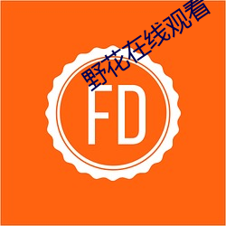 野花在线观看