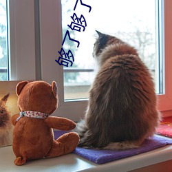 够(gòu)了够了太(tài)多了已经(jīng)满了(le)小(xiǎo)