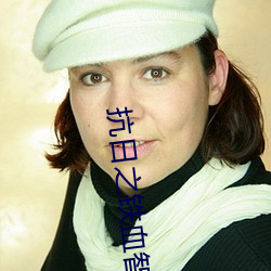 抗日之铁血智将 （曲奇）