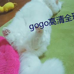 gogo高清全(全)球(球)人体专(專)业图(圖)片