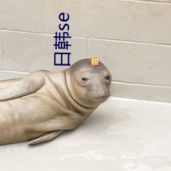 日韓se