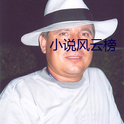 小说风云榜