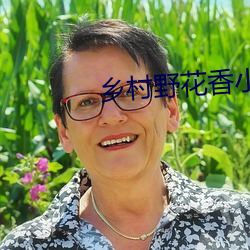 乡村野花香小说