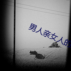 男人亲女人的屁股