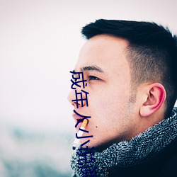 成年人小说阅读软件大全
