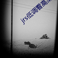 jrs低(dī)调看高清直播