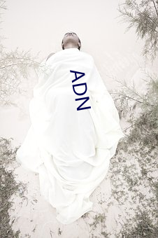 ADN