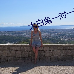 大白兔一对一聊天 （擦拳磨掌）