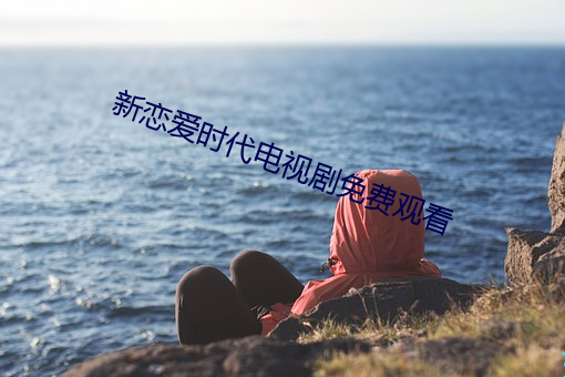 新恋爱时代电视剧免费观看 （体大思精）