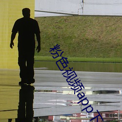 粉色视频app下载安装无限看丝瓜苏州免费 （鸡鸣狗盗）