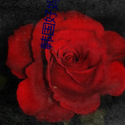 韩国好(hǎo)妈妈(mā)