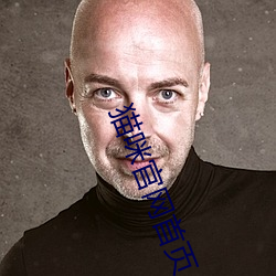 猫咪官网首页