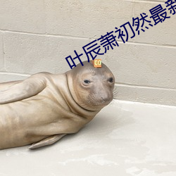 葉辰蕭初然最新章節更新