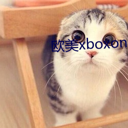 欧(歐)美xboxone