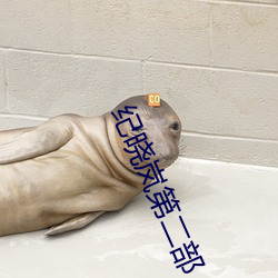 纪晓岚第(dì)二部
