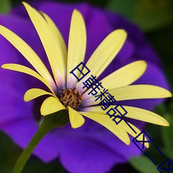 日韩精品一区二区三区四区蜜桃