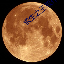 求(qiú)生之王取什么名字好(hǎo)