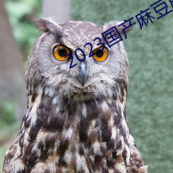 2023国产麻豆(dòu)剧传媒仙踪林