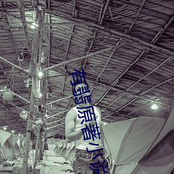 有(有)翡原著小说(說)