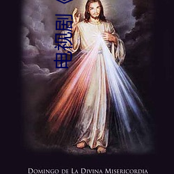 电视剧《火玫瑰粤语第27集》免费观看BD高清完整版