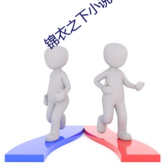 锦衣之下小说