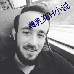 爆乳高H小说