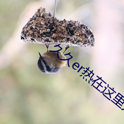 久久er熱在這裏只有精品6