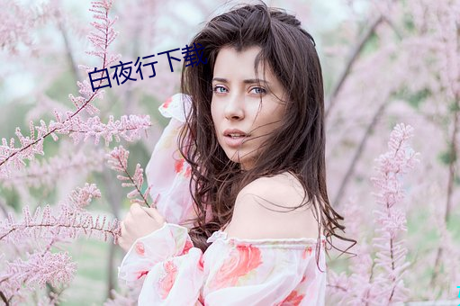 白夜行下载