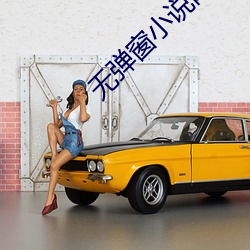 无弹窗小说网