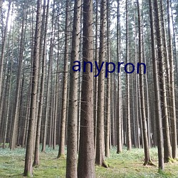 anypron