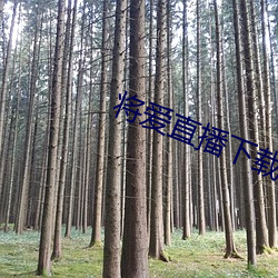 金年会 | 诚信至上金字招牌