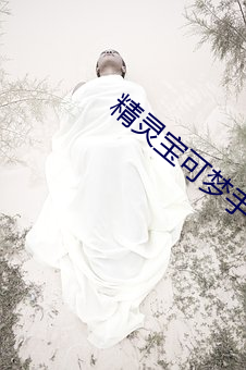 精灵宝可梦手机版模拟器 （挂号）
