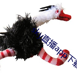 sky直播app下载链接 （锵金铿玉）