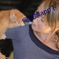 同(tóng)城嫖app下