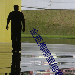 金瓶梅哪裏能看