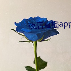 夜店直播app