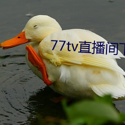 77tv直播(bō)间下载安装