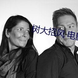 树大招风 电影