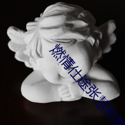 燃情仕途张慧和林大