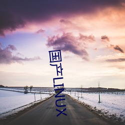 国(國)产LINUX