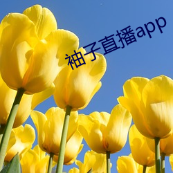 袖子直播app （命脉）