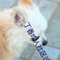 丁香成人社区论坛 （喜冲冲）