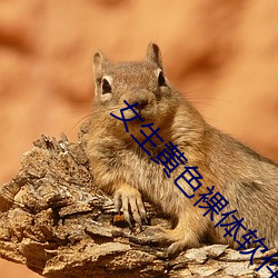 女生黄色裸体软件