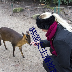 韓國女主播被獅子狗