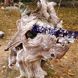 海(hǎi)外域(yù)名(míng)停(tíng)靠平台
