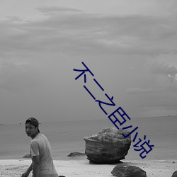 不二之臣小说
