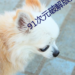 91次(次)元(元)破解版无限(限)次无限版(版)