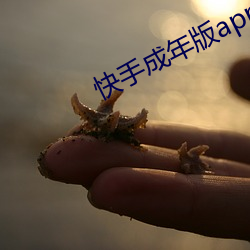 快手成年版app下(xià)载华(huá)为