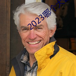 2023哪个大哥有猫咪地址啊