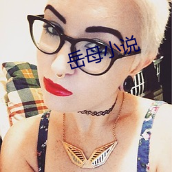 岳母小说